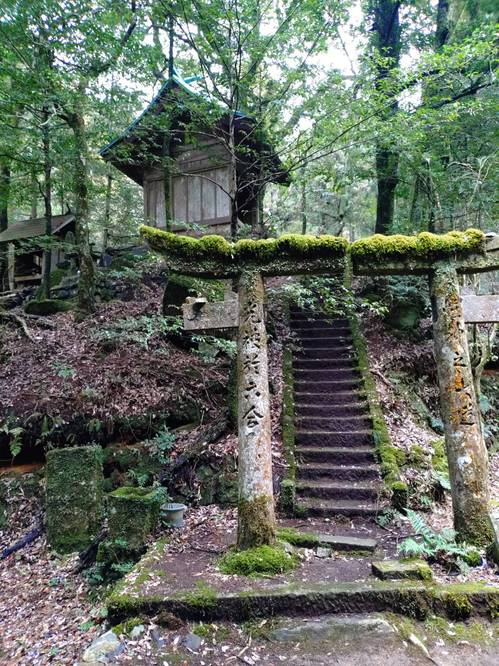 kodaijinja1.jpgのサムネール画像