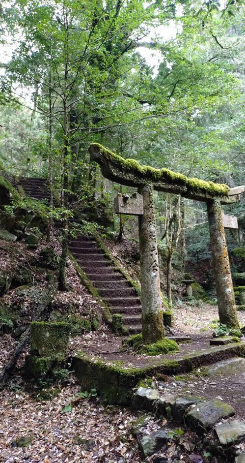 kodaijinja2.jpgのサムネール画像